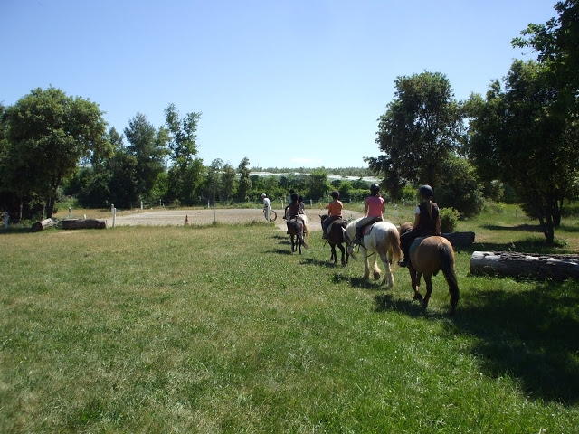  La pequeña cantera 